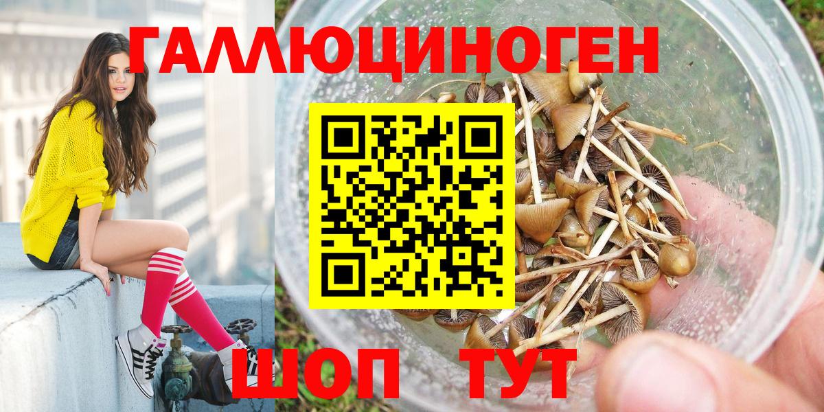 Псилоцибиновые грибы мухоморы Псков