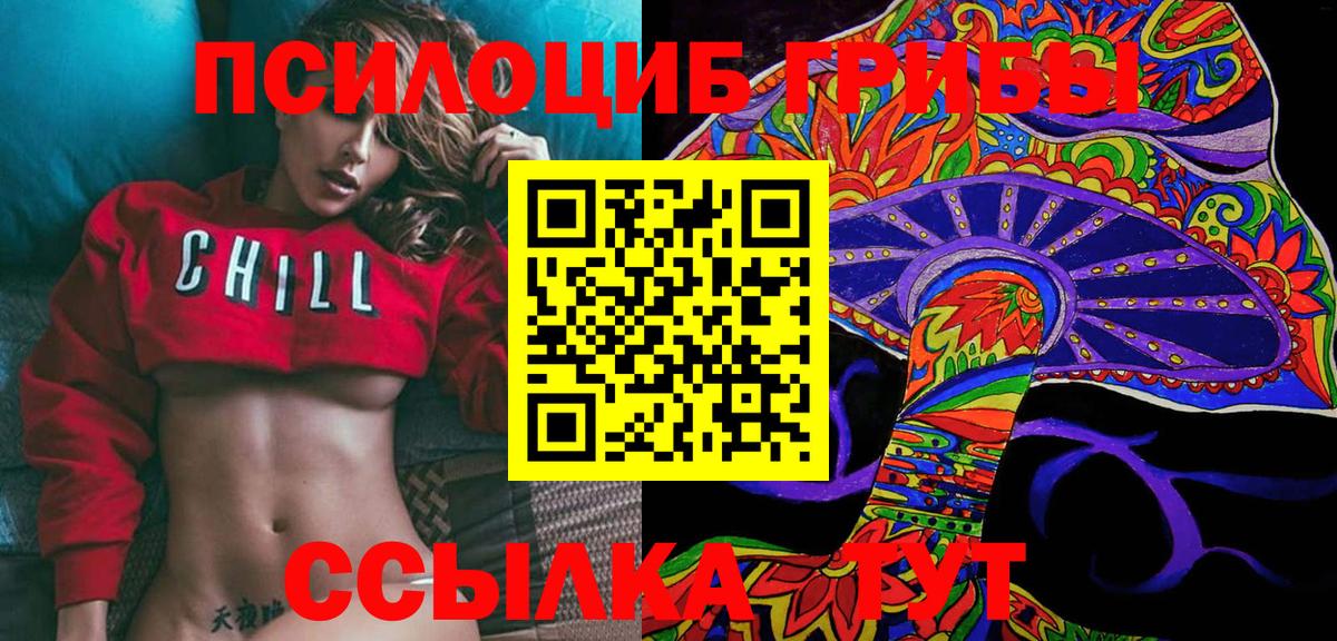Псилоцибиновые грибы прущие грибы  Вход с VPN  Псков 